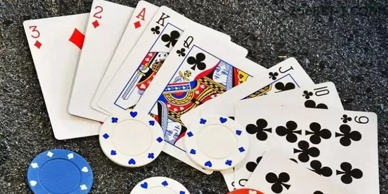 Suporte VIP 256bet - atendimento prioritário